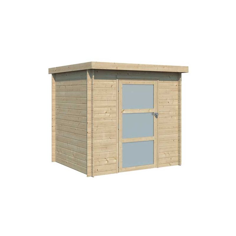 Abri jardin bois brut moderne et toiture PVC 3 M2