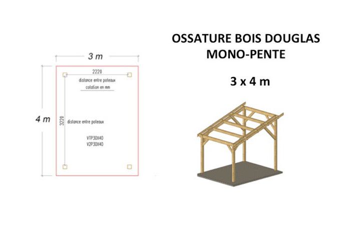 OSSATURE DOUGLAS MONOPENTE