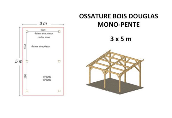 OSSATURE DOUGLAS MONOPENTE