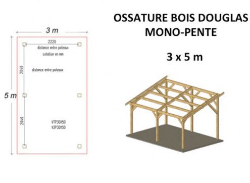 OSSATURE DOUGLAS MONOPENTE