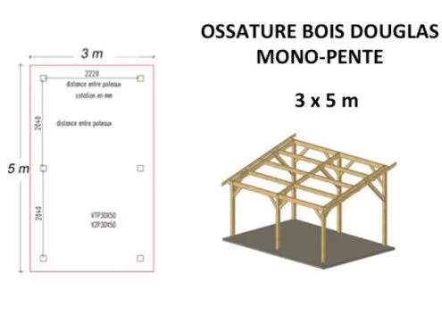 OSSATURE DOUGLAS MONOPENTE
