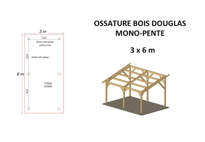 OSSATURE DOUGLAS MONOPENTE