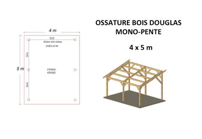 OSSATURE DOUGLAS MONOPENTE