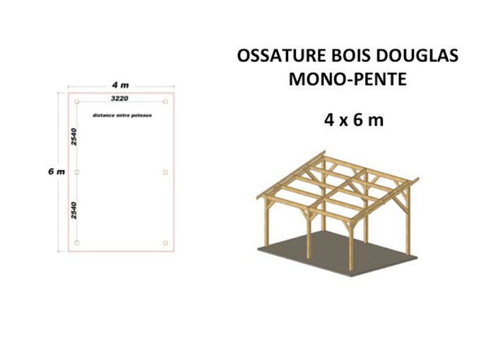 OSSATURE DOUGLAS MONOPENTE