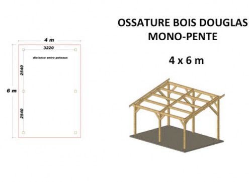 OSSATURE DOUGLAS MONOPENTE