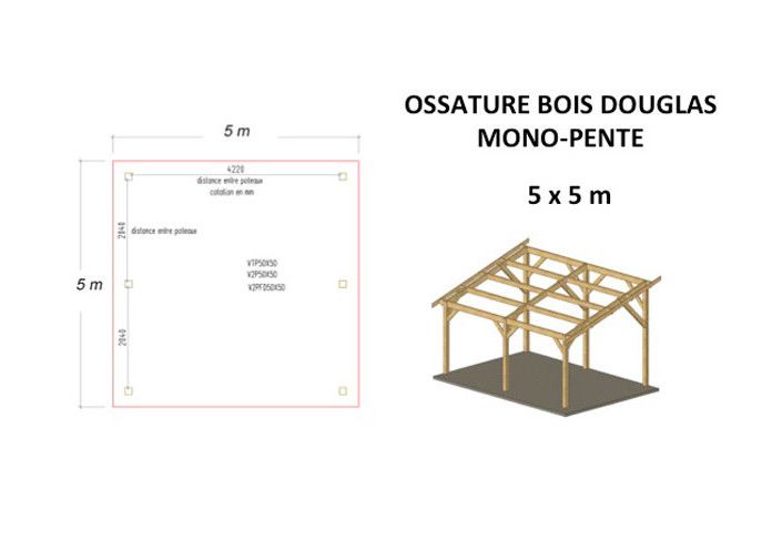 OSSATURE MOISEE EN BOIS DOUGLAS MONOPENTE