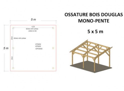 OSSATURE MOISEE EN BOIS DOUGLAS MONOPENTE