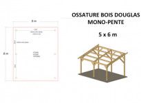 CHARPENTE TRADITIONNELLE BOIS DOUGLAS MONOPENTE