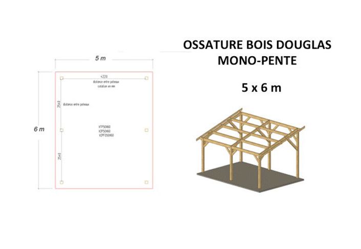 CHARPENTE TRADITIONNELLE BOIS DOUGLAS MONOPENTE