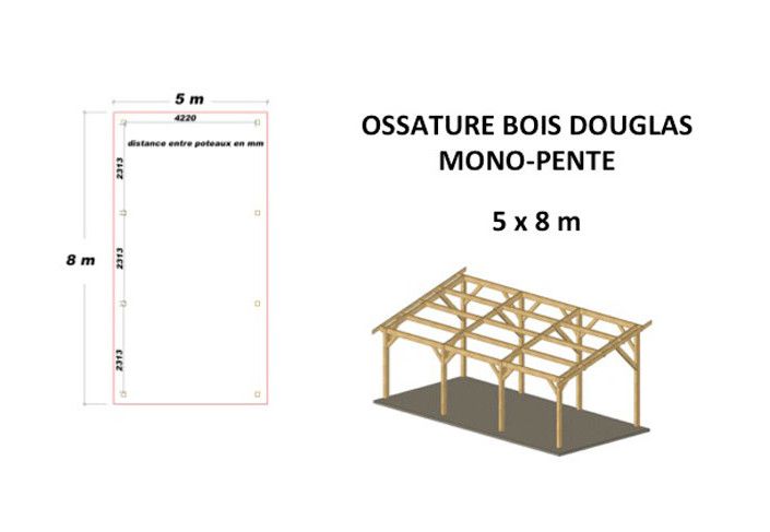 OSSATURE DOUGLAS MONOPENTE