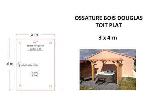 ABRI VOITURES 3 PLACES AVEC TOIT DOUBLE PENTE RÉALISÉ EN BOIS DOUGLAS