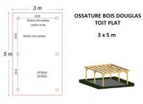 OSSATURE BOIS DOUGLAS MONO-PENTE 15m2