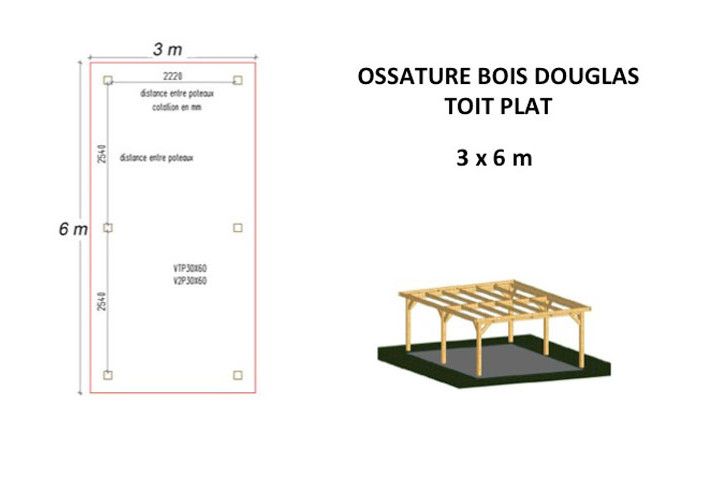 OSSATURE DOUGLAS MONO-PENTE 18m2