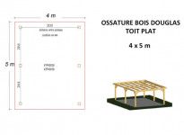 OSSATURE DOUGLAS TOIT PLAT 20m2