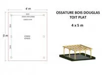 OSSATURE DOUGLAS TOIT PLAT 20m2