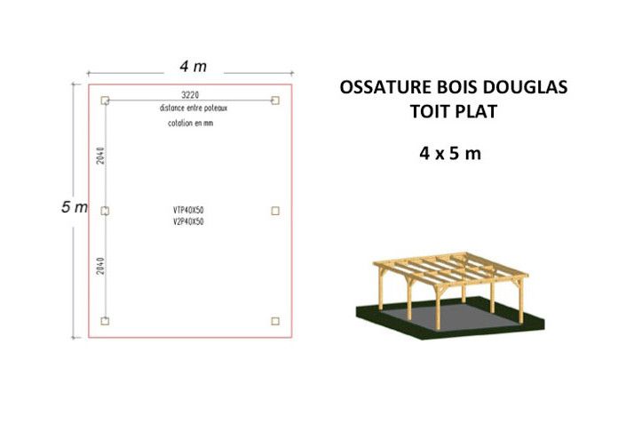 OSSATURE DOUGLAS TOIT PLAT 20m2