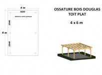 OSSATURE DOUGLAS TOIT PLAT 24m2