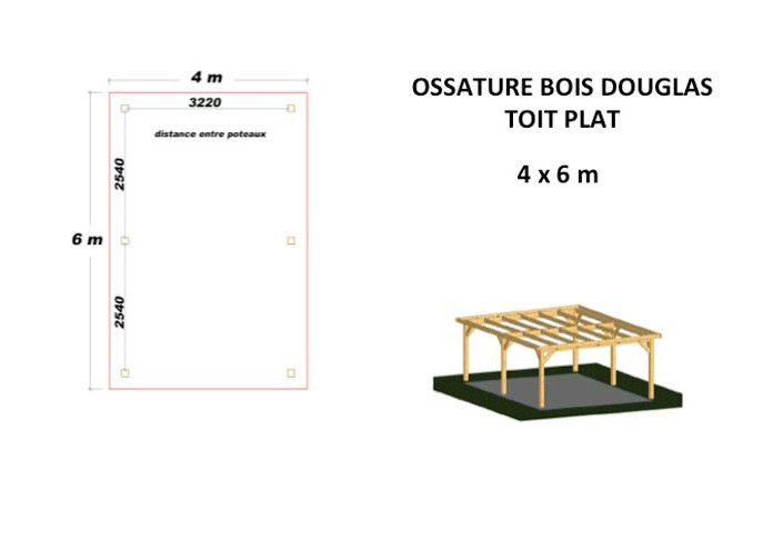 OSSATURE DOUGLAS TOIT PLAT 24m2