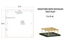 OSSATURE DOUGLAS TOIT PLAT 25m2