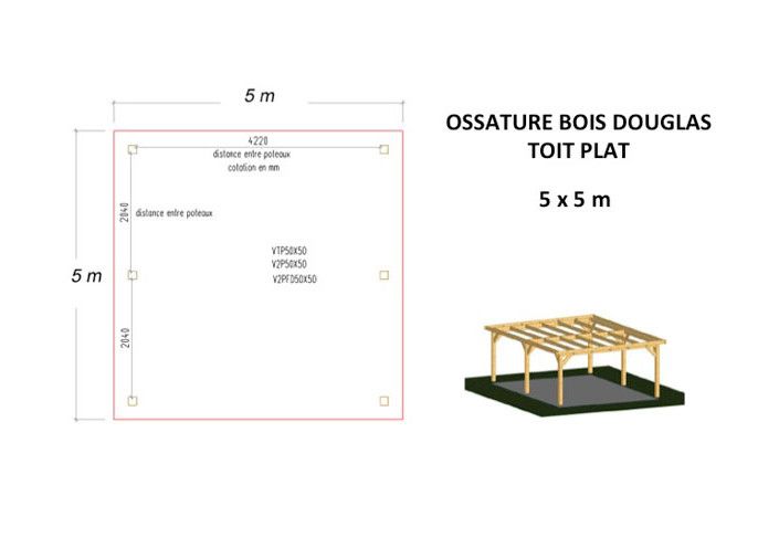 OSSATURE DOUGLAS TOIT PLAT 25m2