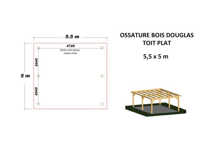 OSSATURE DOUGLAS TOIT PLAT 24m2