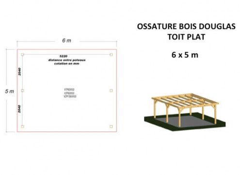 OSSATURE DOUGLAS TOIT PLAT 30m2