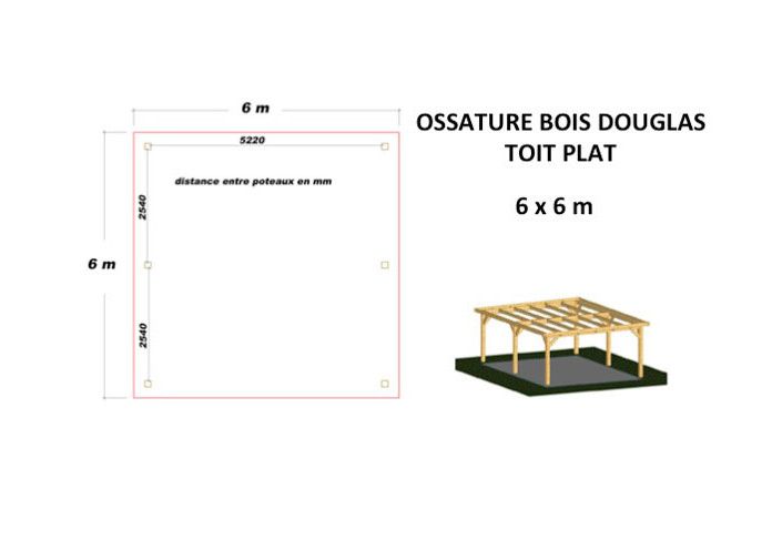 OSSATURE MOISÉE EN BOIS DOUGLAS TOIT PLAT 36m2