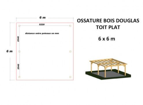 OSSATURE MOISÉE EN BOIS DOUGLAS TOIT PLAT 36m2