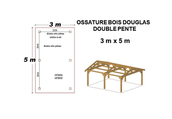 OSSATURE DOUGLAS DEUX PENTES SYMÉTRIQUES 12m2