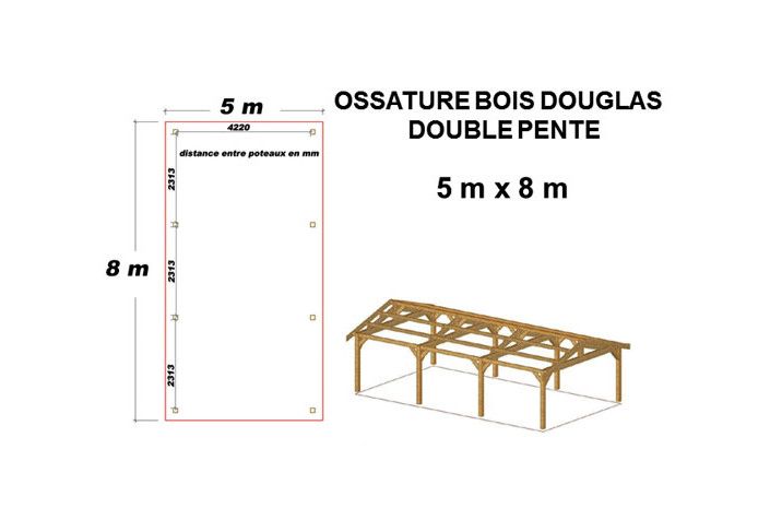 OSSATURE DOUGLAS DOUBLE PENTES ASYMÉTRIQUES 40m2