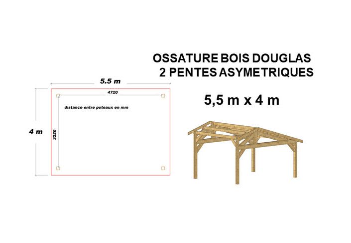 OSSATURE DOUGLAS DEUX PENTES ASYMÉTRIQUES 22m2