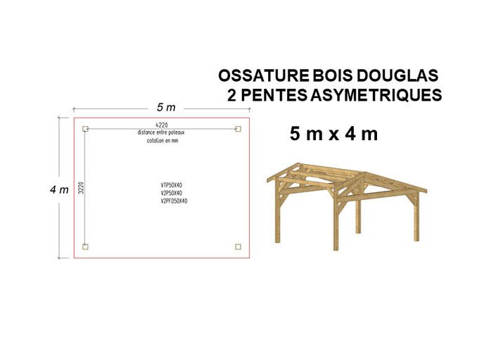 OSSATURE DOUGLAS DEUX PENTES ASYMÉTRIQUES 20m2