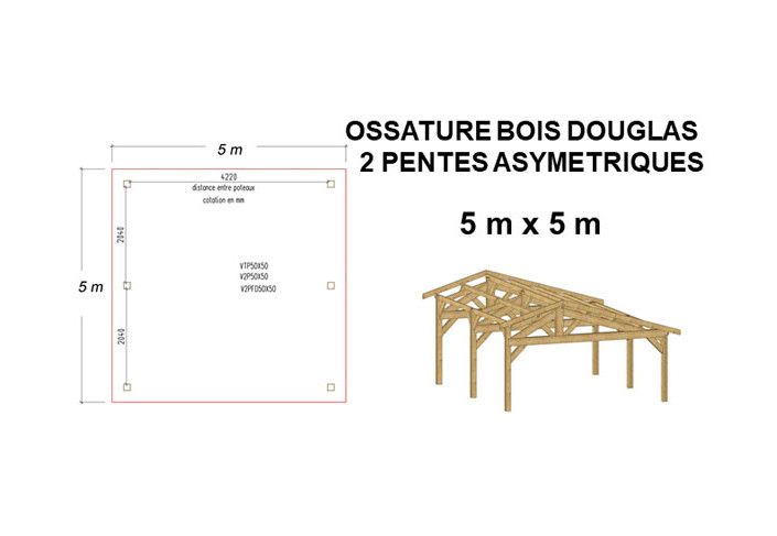 OSSATURE DOUGLAS DEUX PENTES ASYMÉTRIQUES 25m2