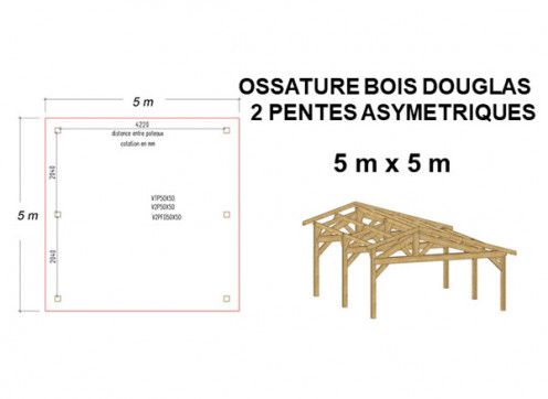 OSSATURE DOUGLAS DEUX PENTES ASYMÉTRIQUES 25m2