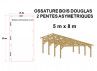 OSSATURE DOUGLAS DOUBLE PENTES ASYMÉTRIQUES 40m2