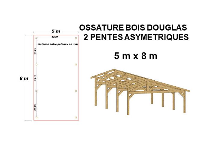 OSSATURE DOUGLAS DOUBLE PENTES ASYMÉTRIQUES 40m2