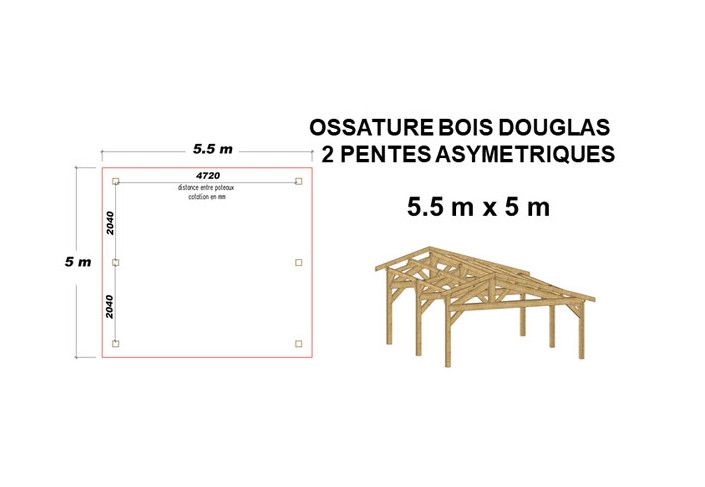 OSSATURE DOUGLAS DEUX PENTES ASYMÉTRIQUES 27.5m2