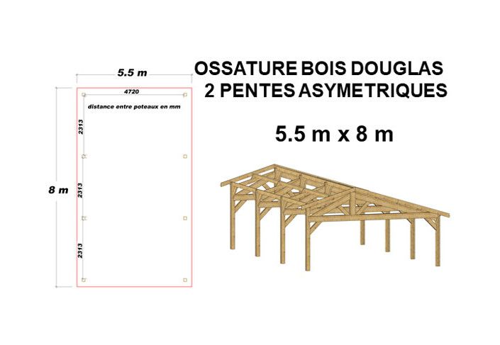 OSSATURE DOUGLAS DOUBLE PENTES ASYMÉTRIQUES 44m2