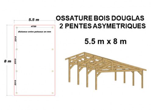 OSSATURE DOUGLAS DOUBLE PENTES ASYMÉTRIQUES 44m2