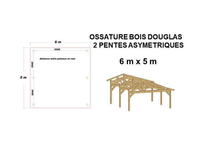 OSSATURE DOUGLAS DEUX PENTES SYMÉTRIQUES 30m2