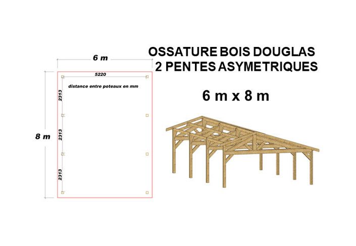 OSSATURE DOUGLAS DEUX PENTES SYMÉTRIQUES 48m2