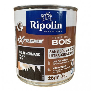 Bidon Ripolin de 0,5L