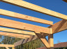 CARPORT DOUBLE, TOIT PLAT, BOIS DOUGLAS