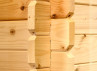 abri de jardin bois 28 mm - 9M2 au sol