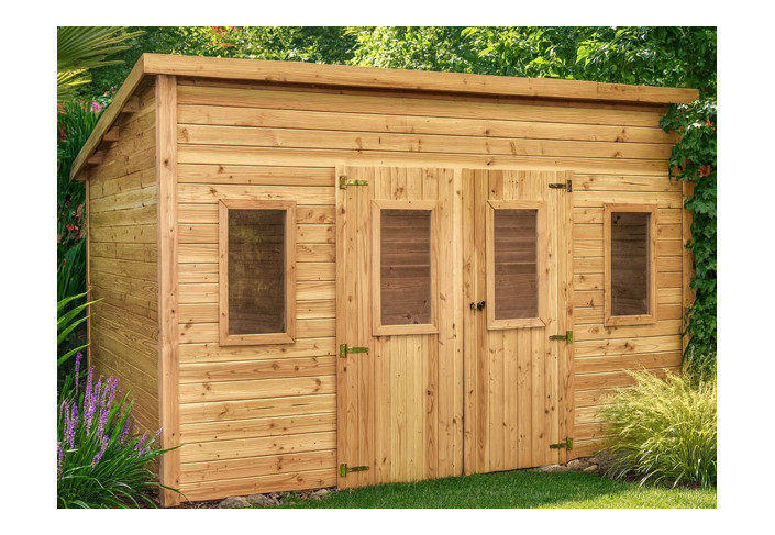 Abri Jardin bois Douglas - Bac Acier 16M2