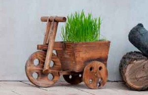 Vélo bois et plante aromatique