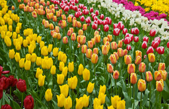 En avril, tout le monde file dans le jardin