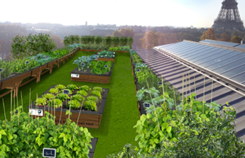 Une terrasse végétale en plein coeur de Paris