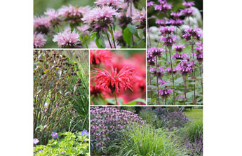 Jardin et extérieur, tout est parfait en juillet !