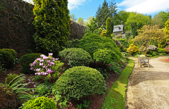 Avec un abri jardin, entretenez vos plantes grâce à un kit extérieur bois, métal ou résine PVC